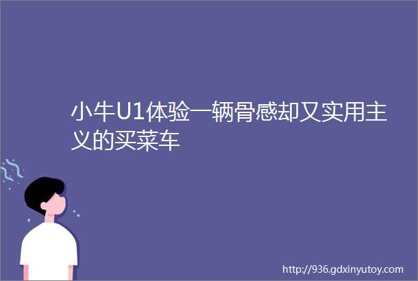 小牛U1体验一辆骨感却又实用主义的买菜车